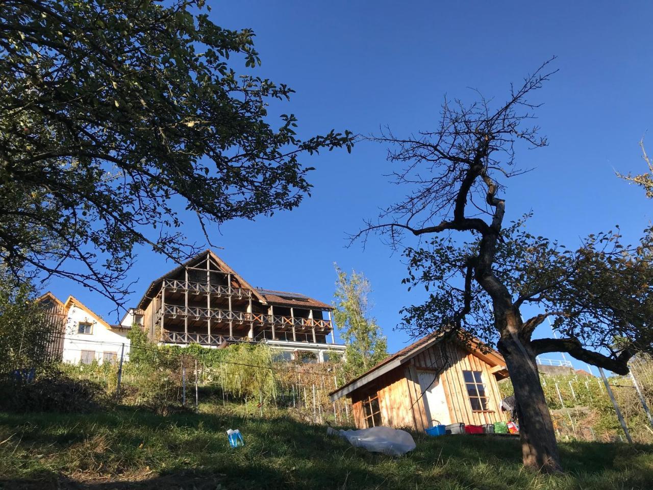 Bed and Breakfast Atelier 67 Obersaxen Exteriér fotografie